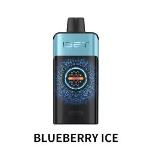 IGET ONE 12000 - Blueberry Ice