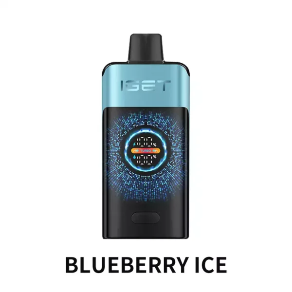 IGET ONE 12000 - Blueberry Ice